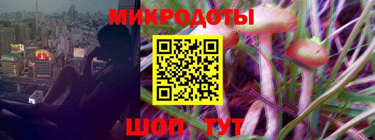 Галлюциногенные грибы Psilocybe  Вход с VPN  Владимир  цены   Галлюциногенные грибы MAGIC MUSHROOMS 